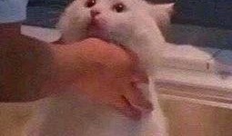 朝阳吃瓜群众一枚,揭秘京城街头巷尾的热辣话题