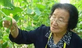 体育圈人 吃瓜大世界最新版下载,揭秘“吃瓜大世界”最新版下载全攻略